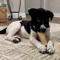 Thumbnail photo of Bessie #4