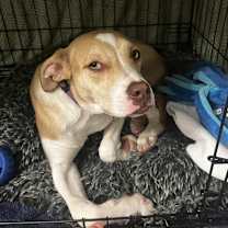 Thumbnail photo of DELTA #2