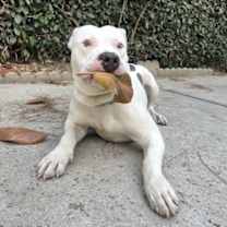 Thumbnail photo of Jacob #2