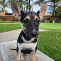 Thumbnail photo of Doodle #3