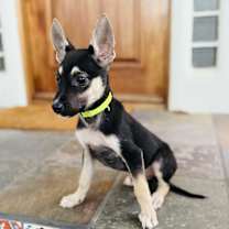 Thumbnail photo of Doodle #4