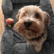 Thumbnail photo of Mello #2