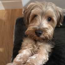 Thumbnail photo of Mello #4