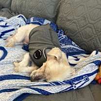 Thumbnail photo of Tobi #2