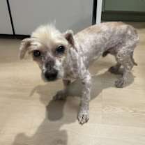 Thumbnail photo of Tobi #3