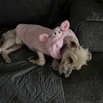 Thumbnail photo of Tobi #4