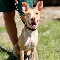 Thumbnail photo of Mercy #2