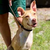 Thumbnail photo of Mercy #3