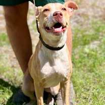 Thumbnail photo of Mercy #4