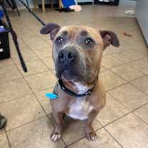 Thumbnail photo of Roscoe #4