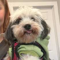 Thumbnail photo of Ginny #2