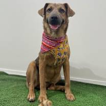 Thumbnail photo of Nina Vanessa #2