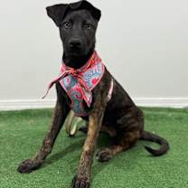 Thumbnail photo of Paige #2