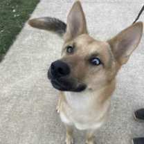 Thumbnail photo of Axel #4