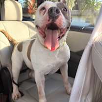 Thumbnail photo of Belle #3