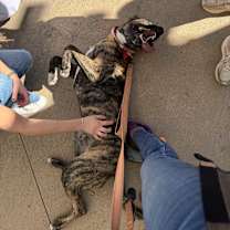 Thumbnail photo of River #4