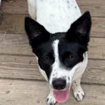 Thumbnail photo of Nina #2