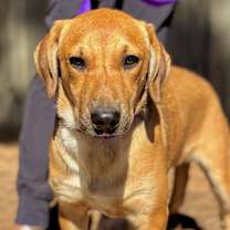 Thumbnail photo of Runt #1