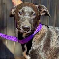 Thumbnail photo of Bumble #1