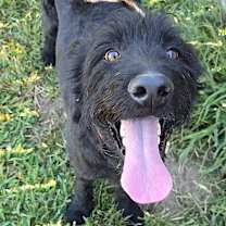 Thumbnail photo of Vincenzo #1