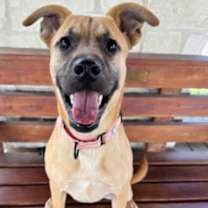 Thumbnail photo of Shelly #3