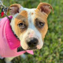 Thumbnail photo of Matilda #1