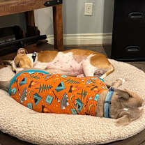 Thumbnail photo of Matilda #4