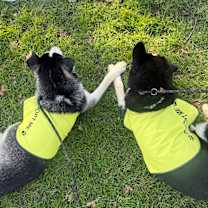 Thumbnail photo of Bulleit #2