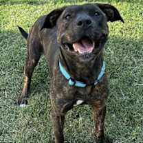 Thumbnail photo of Tom #1