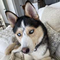 Thumbnail photo of Bear #2