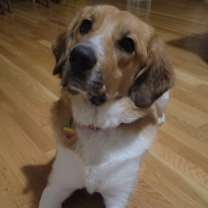 Thumbnail photo of Sticky #4