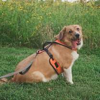 Thumbnail photo of Sticky #3