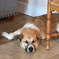 Thumbnail photo of Little #1