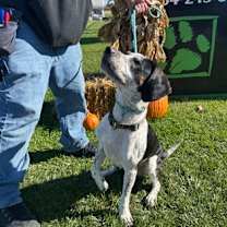 Thumbnail photo of Jasper #2