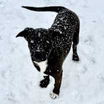 Thumbnail photo of Tessa #1