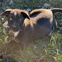 Thumbnail photo of Tessa #2