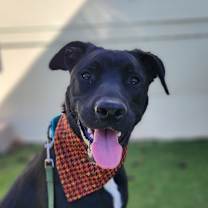 Thumbnail photo of Vince LK #1