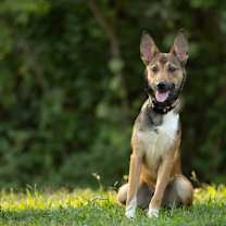 Thumbnail photo of Poet #1