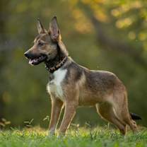 Thumbnail photo of Poet #2