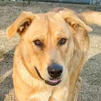 Thumbnail photo of Harrison #1