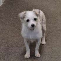 Thumbnail photo of Rivian #3