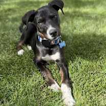 Thumbnail photo of Sophie #3