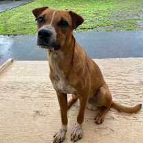 Thumbnail photo of Glenn #2