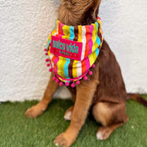 Thumbnail photo of Joy #3