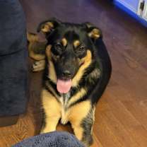 Thumbnail photo of Korina #4