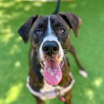 Thumbnail photo of Kate #2