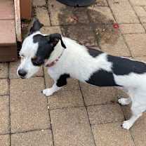 Thumbnail photo of Flower #2