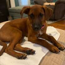 Thumbnail photo of Vici #3