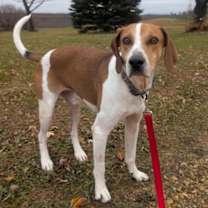 Thumbnail photo of Chance #1