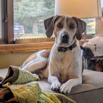 Thumbnail photo of Chance #4